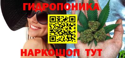 МДПВ Кандалакша