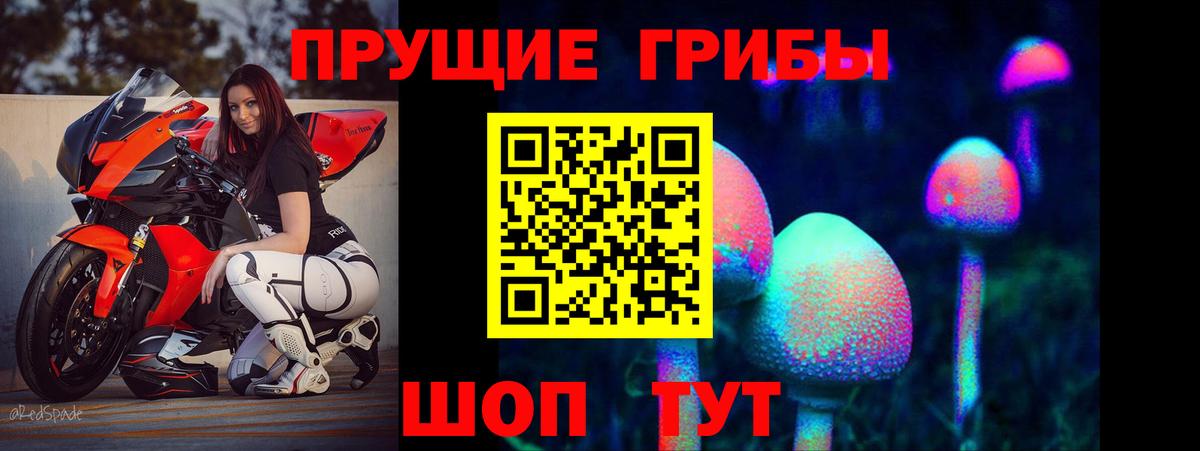 Псилоцибиновые грибы мицелий Димитровград