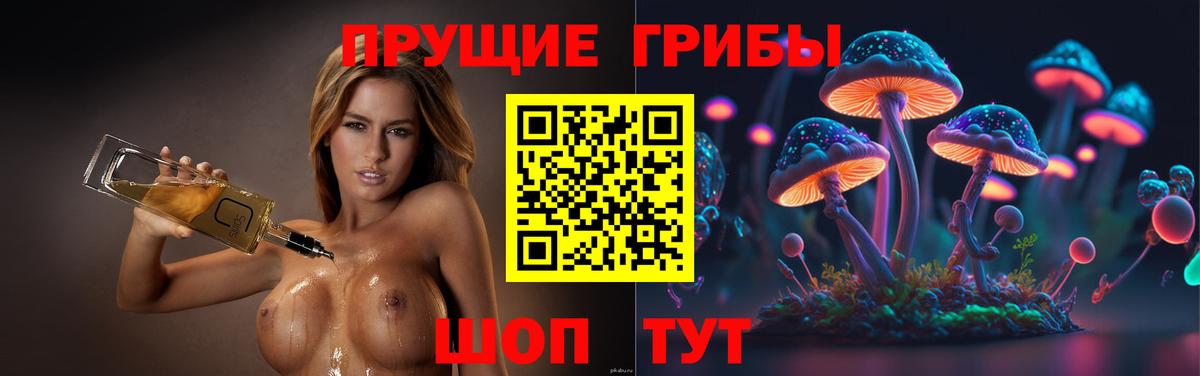 Псилоцибиновые грибы мухоморы  Псилоцибиновые грибы мицелий  Димитровград  Вход с VPN 